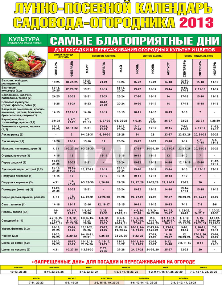 Посевной календарь средней полосы россии 2024 год